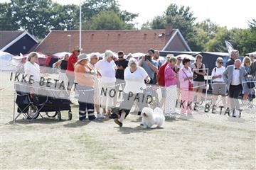 181848_kar_01__62_2220.JPG
