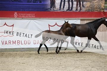 181957_mtp_08_R62_5666.JPG