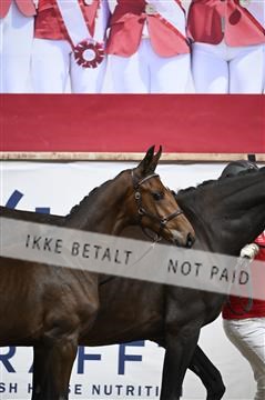 181957_kbb_01_Z097170.JPG