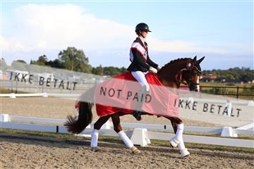 181894_mtp_05_R62_5986.JPG