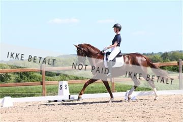 181449_bc_01R62_5764.JPG