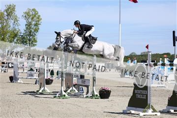 181436_avh_02_3866.JPG