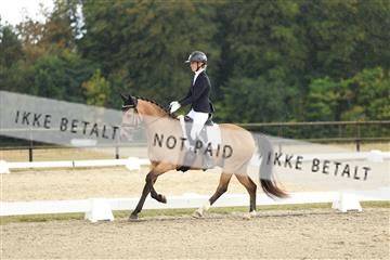 181894_mtp_03_R62_2610.JPG