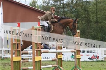 5925_ma_05_IMG_0654.JPG