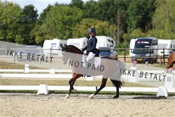 181894_mtp_05_R62_4761.JPG