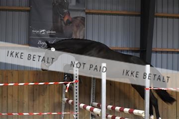 173423_akl_01_AKL_8306.JPG