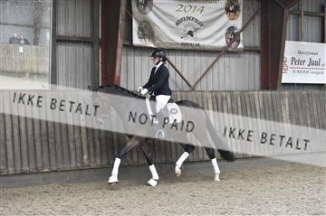 173181_kbb_01__D4S6537.JPG
