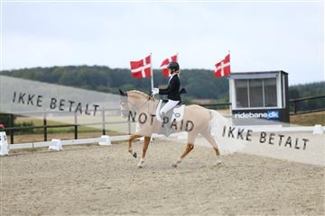 181894_mtp_04_R62_3744.JPG