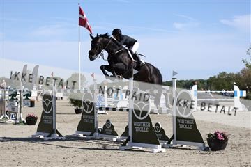 181436_avh_02_3605.JPG