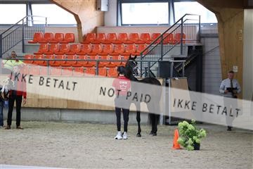 175139_bc_03_R62_4205.JPG