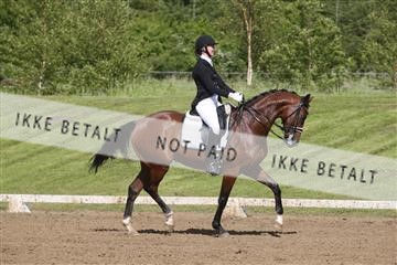 147698_nn_01_IMG_0188.JPG