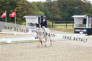 181894_mtp_02_R62_1650.JPG