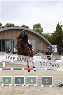181922_avh_01_1072.JPG