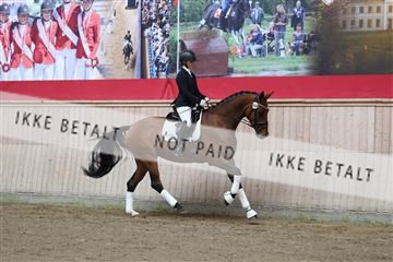 181887_mtp_01_R62_6611.JPG