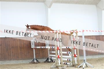 181755_tbj_01R62_2490.JPG