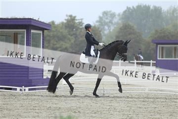 181923_mtp_03_R62_7837.JPG