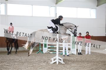 181804_mlm_01_R62_8985.JPG