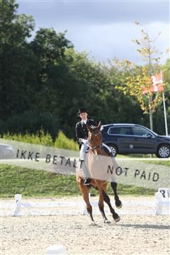 148862_sg_02_IMG_3892.JPG