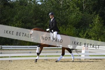 136195_abo_01__AB16172.JPG