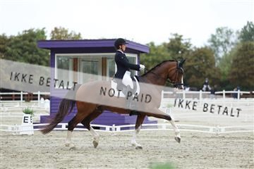 181923_mtp_03_R62_7887.JPG
