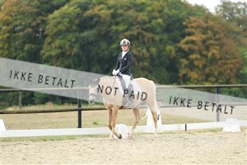 181894_mtp_04_R62_3942.JPG