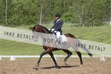 147698_nn_01_IMG_0015.JPG