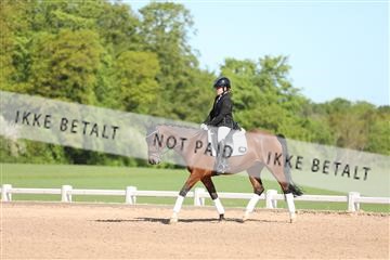 174638_mtp_01_3M5A2938.JPG