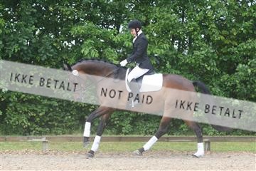 135518_ms_01_IMG_1255.JPG