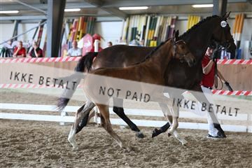 181756_mtp_03_R62_2916.JPG