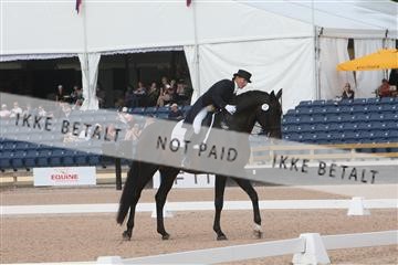 123112_tbj_04_IMG_2511.JPG