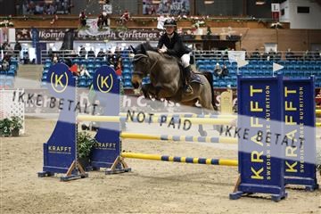 175934_avh_02_7362.JPG