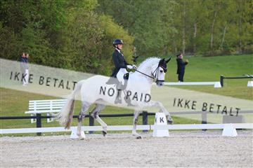 179330_avh_01_4959.JPG