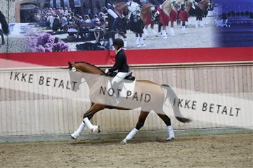 181887_mtp_05_R62_9755.JPG