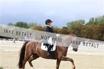 181923_mtp_03_R62_7291.JPG