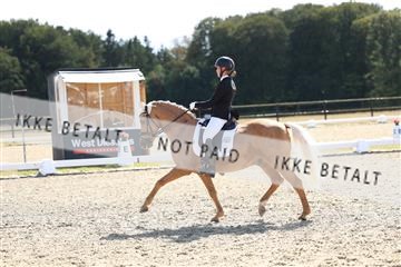 181894_mtp_02_R62_1899.JPG