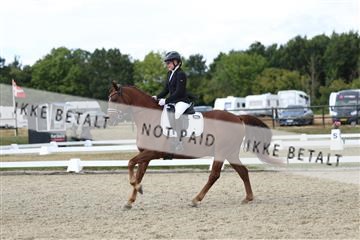 181894_mtp_05_R62_4702.JPG