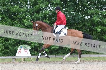 135518_ms_01_IMG_0965.JPG