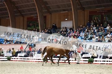 181957_mtp_08_R62_5725.JPG