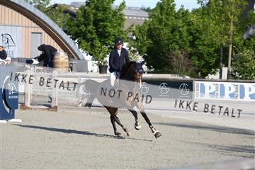 181436_avh_01_2757.JPG
