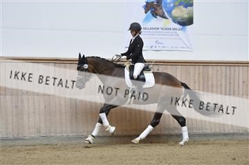 160111_nn_01__ESK1760.JPG
