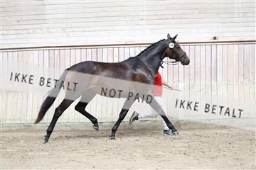 181887_tbj_01_R62_3602.JPG