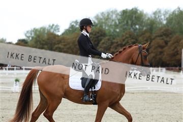 181923_mtp_02_R62_7053.JPG