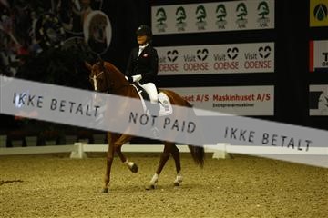 144963_ms_01__MG_9622.JPG