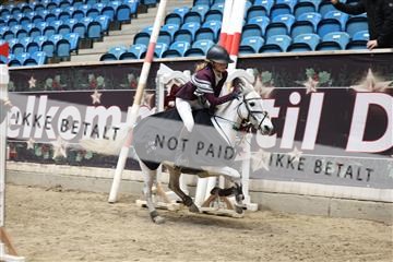 175934_avh_02_7767.JPG