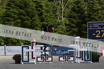 181719_AKL_5837.JPG