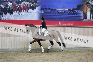 181887_mtp_02_R62_7689.JPG