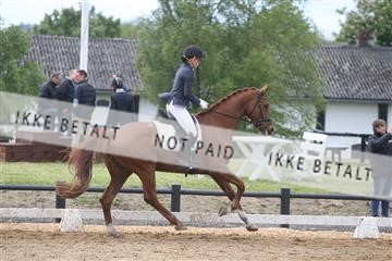 147698_nn_01_IMG_0087.JPG
