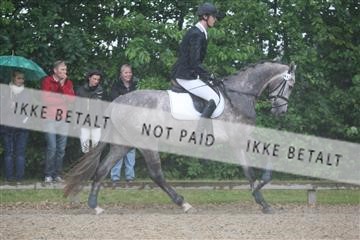 135518_ms_01_IMG_1061.JPG
