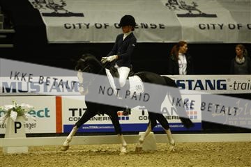 144963_ms_01__MG_9611.JPG