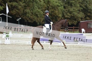 181923_mtp_02_R62_7035.JPG